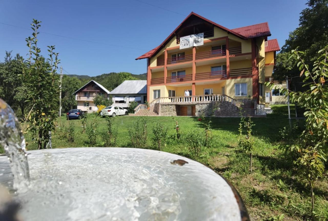 Casa Dobrin Hotel Arefu Exterior photo