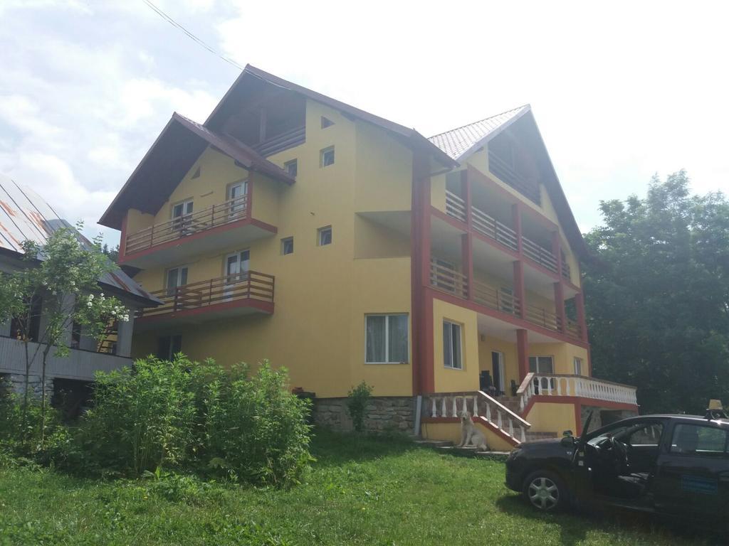 Casa Dobrin Hotel Arefu Exterior photo